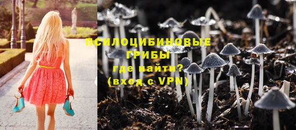метадон Новодвинск