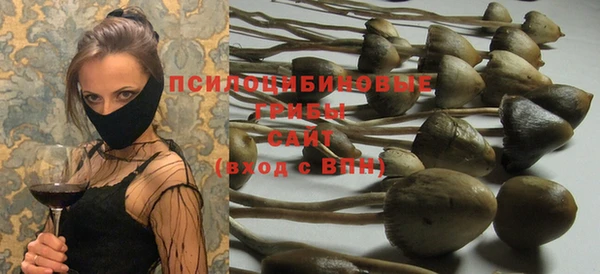 прущая мука Аркадак