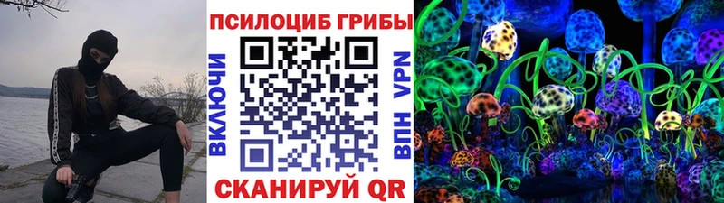 магазин продажи наркотиков  Полярный  Галлюциногенные грибы мицелий 